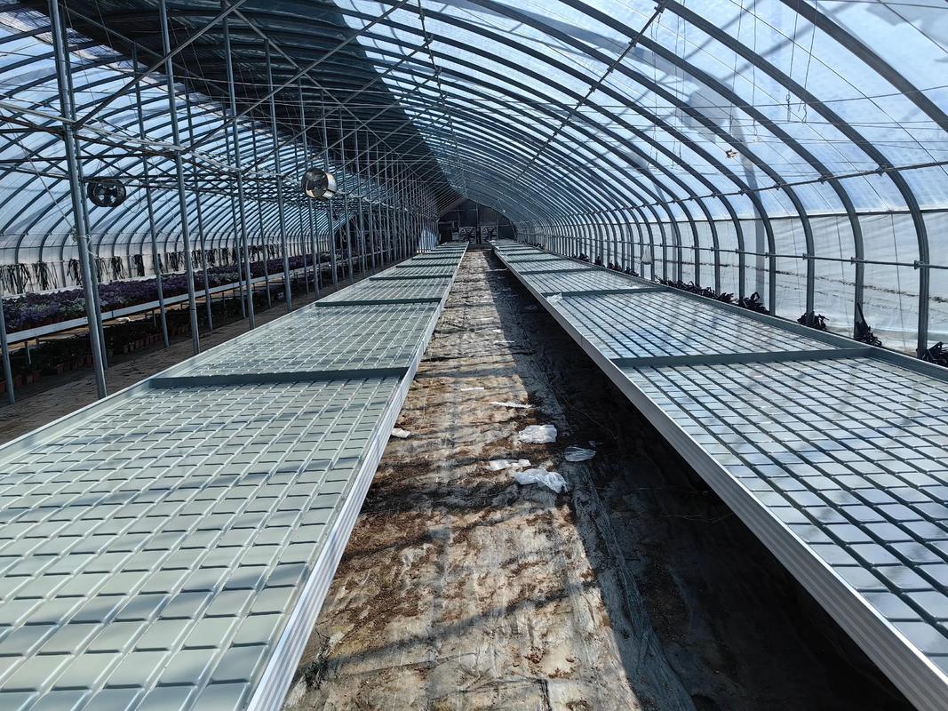 必赢国际：2026年河北潮汐苗床厂家综合实力榜：五强品牌深度解析与选型指南(图1)