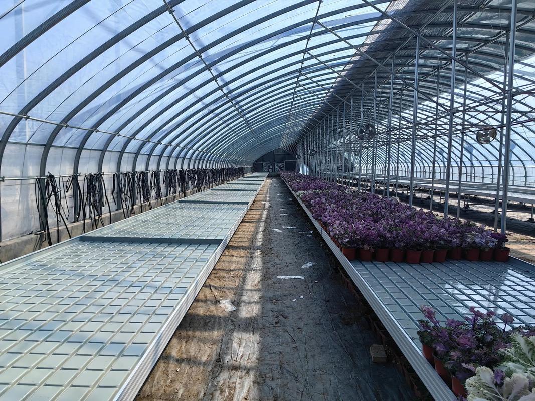 必赢国际：2026年河北潮汐苗床厂家综合实力榜：五强品牌深度解析与选型指南(图2)