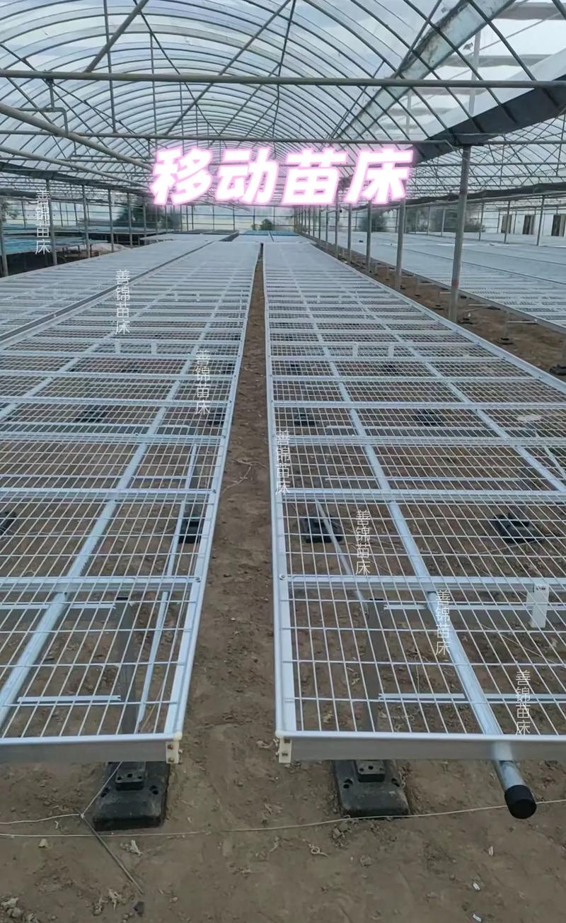 必赢国际：2026年河北潮汐苗床厂家综合实力榜：五强品牌深度解析与选型指南(图3)