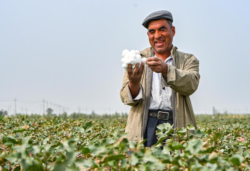 必赢国际：潮涌新疆70年小村新变：达西村里的幸福日子(图1)