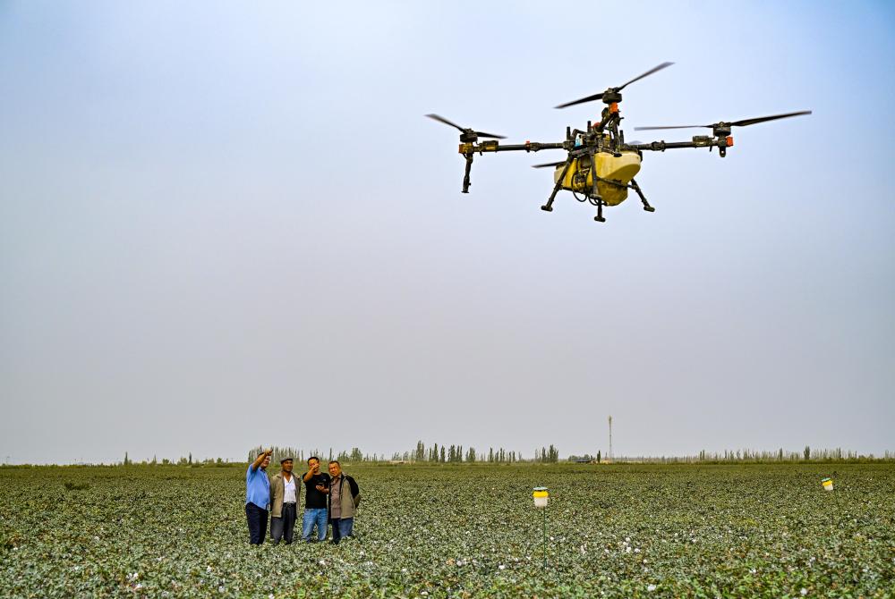 必赢国际：潮涌新疆70年小村新变：达西村里的幸福日子(图2)