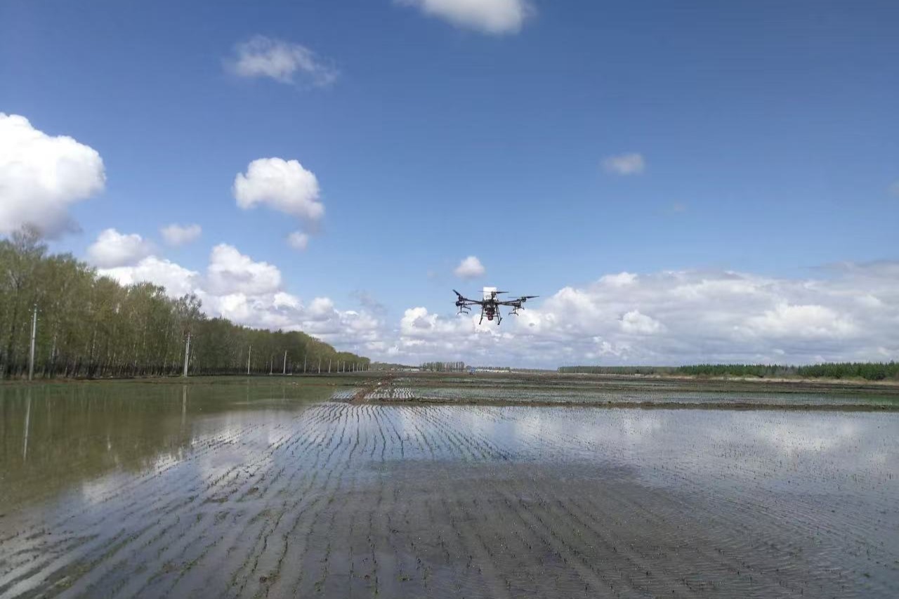 bwin网站：聚焦北大荒八五四分公司：无人机开展水稻施肥空中作业(图1)