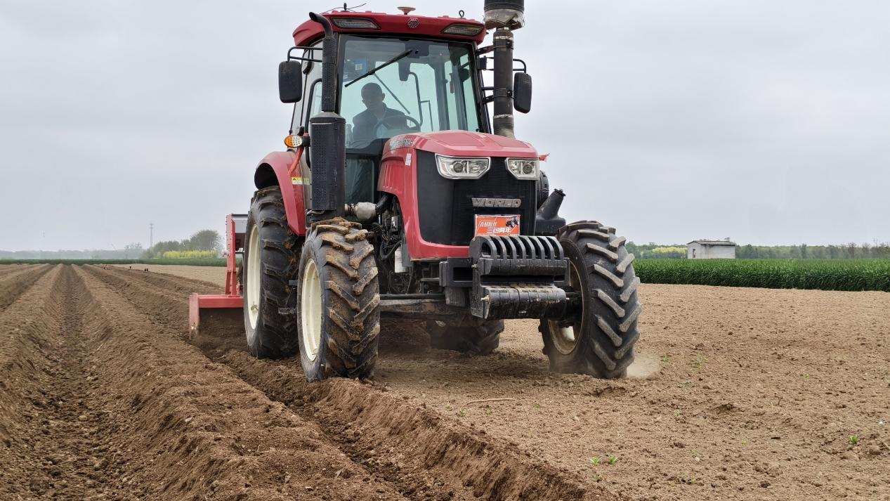 必赢国际：许昌鄢陵：起垄施肥绘春景精耕细作促振兴(图2)